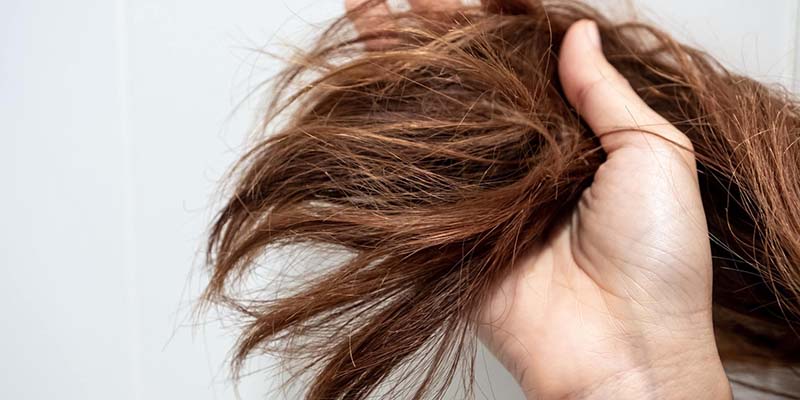 موخوره چیست؟